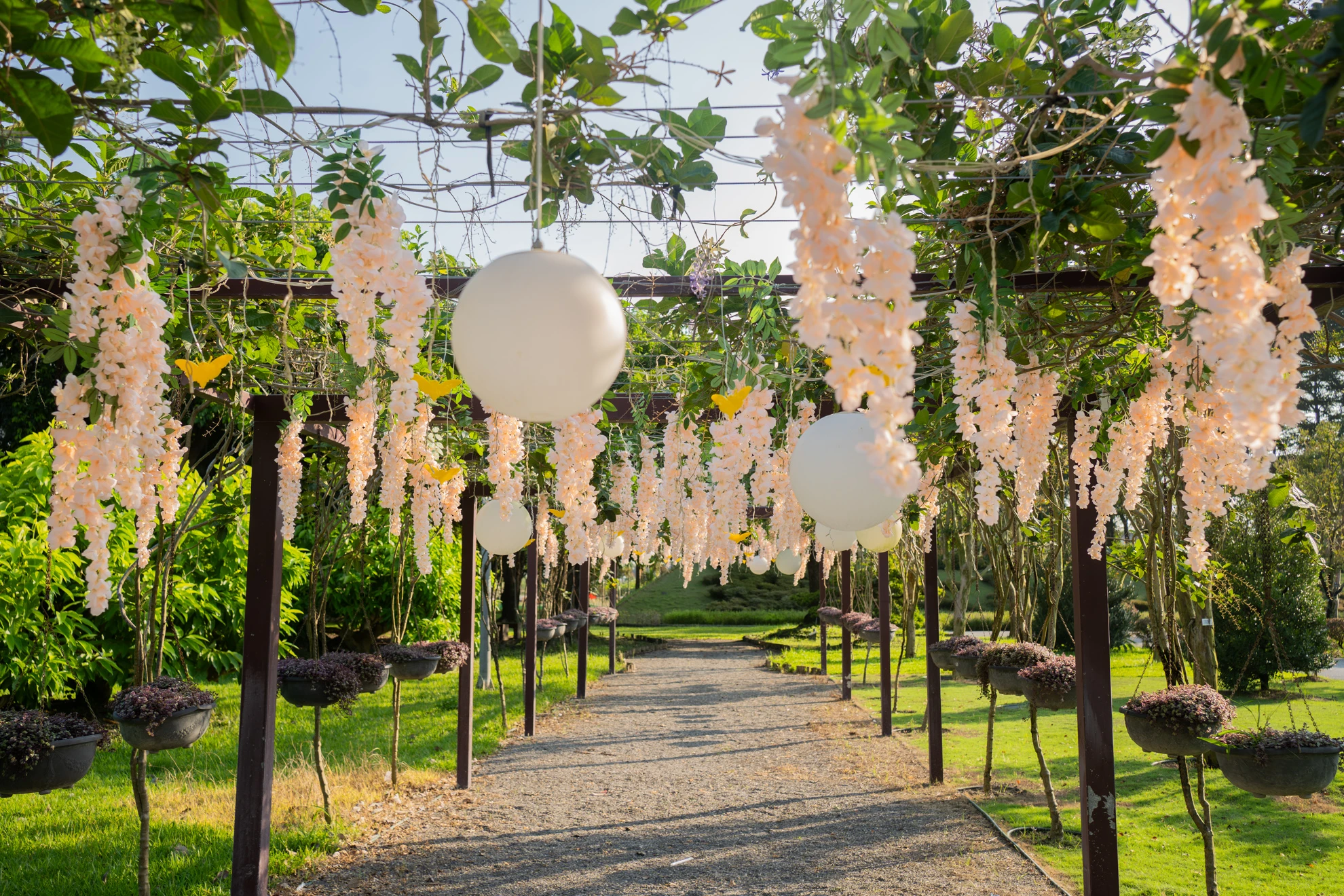 成美文化園昆蟲展丨園區佈置 主題活動活動佈置 村山良作 10