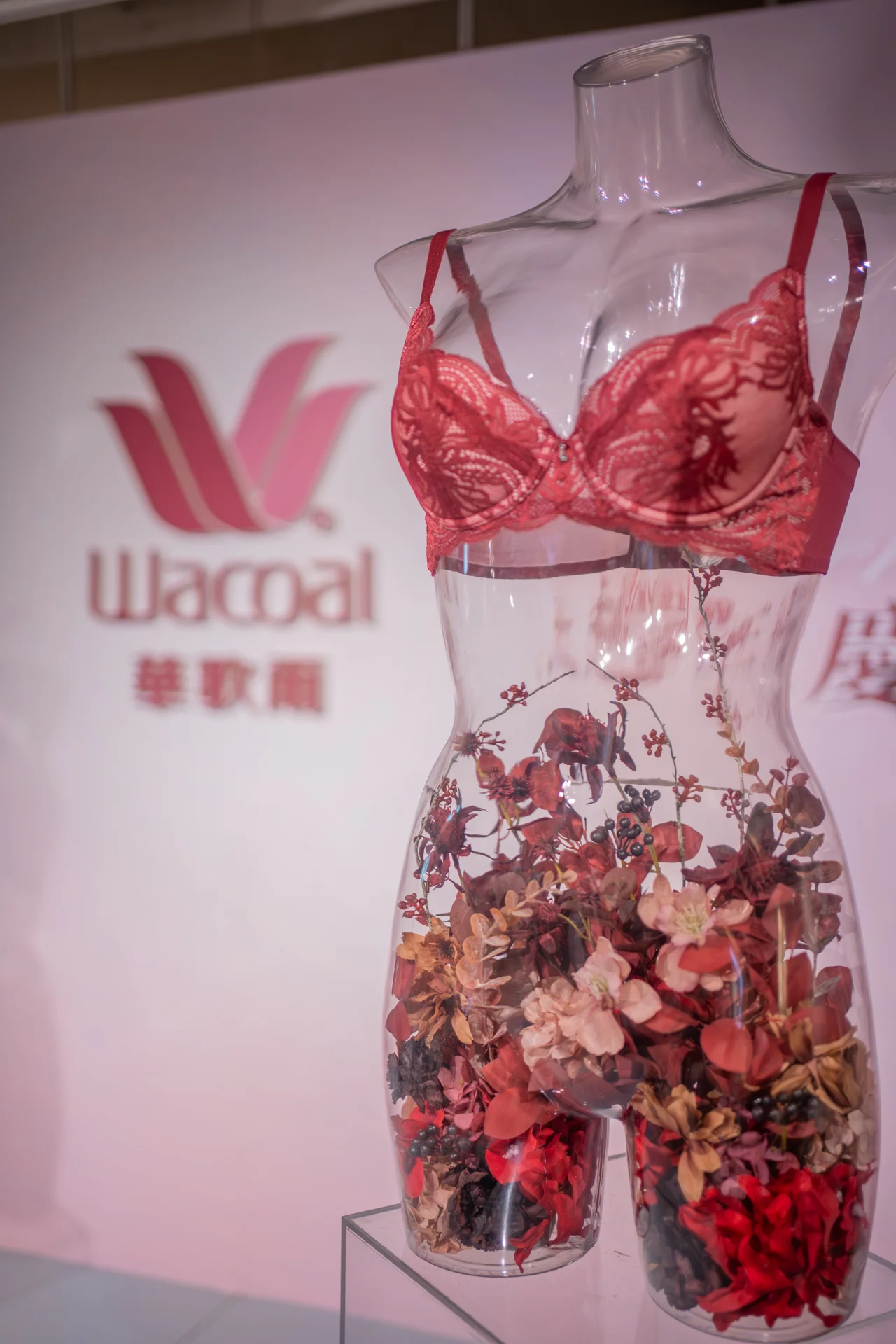 華歌爾 Wacoal 2024 週年慶新品發表會活動佈置 主題活動活動佈置 村山良作 4