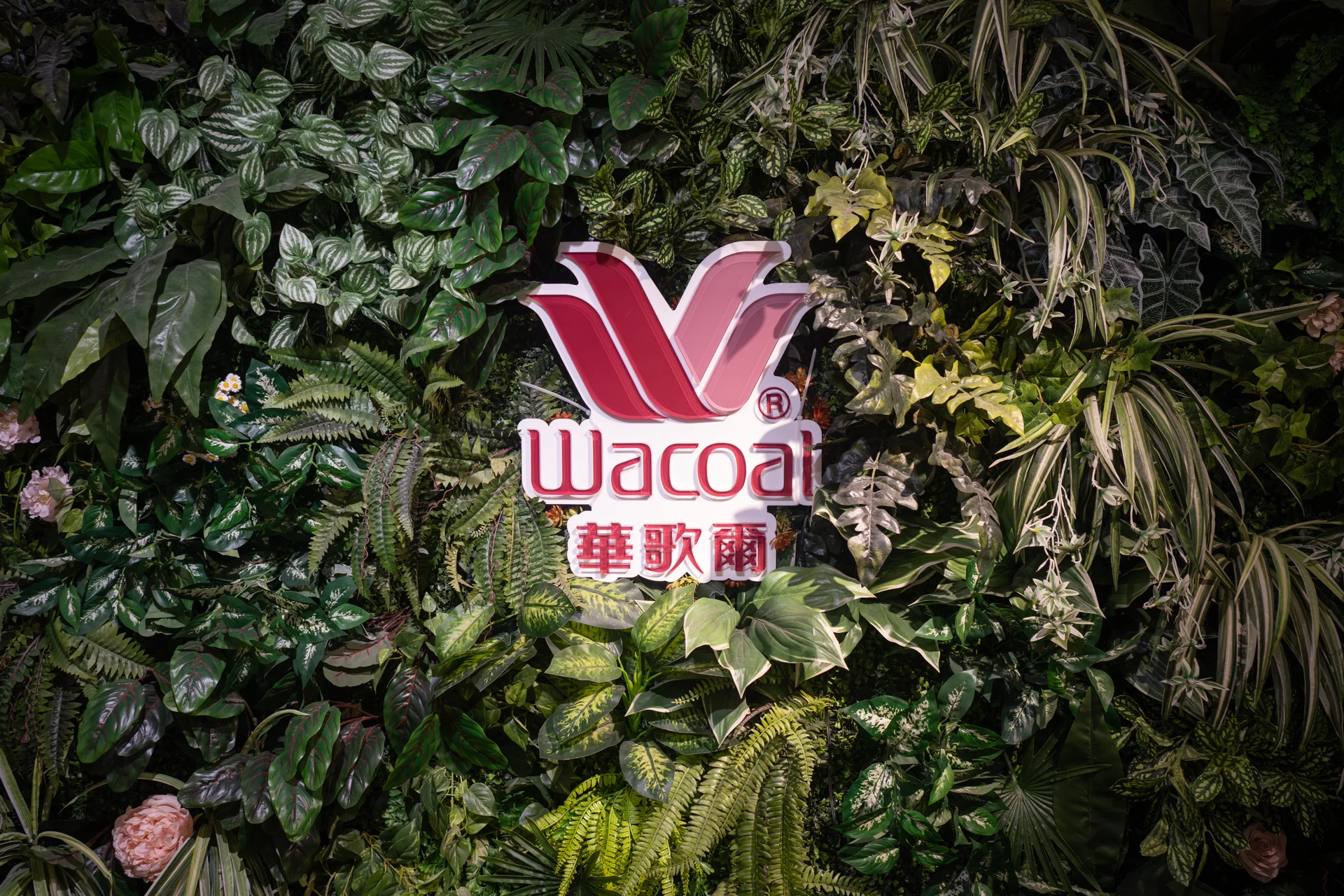 華歌爾 Wacoal 2024 週年慶新品發表會活動佈置 主題活動活動佈置 村山良作 10